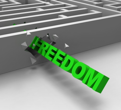 FREEDOM: Liberty vs License