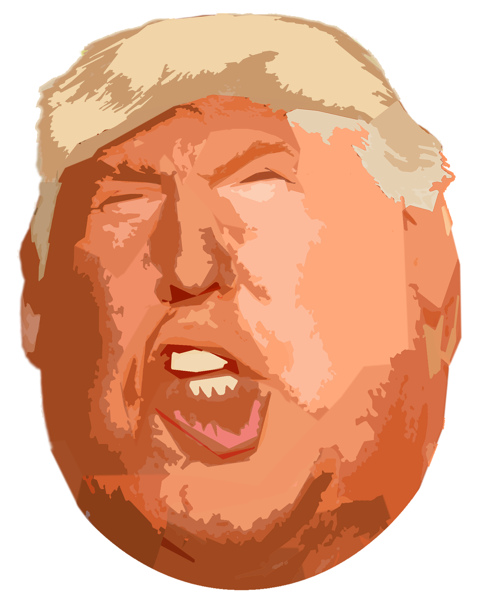 orange Trump
